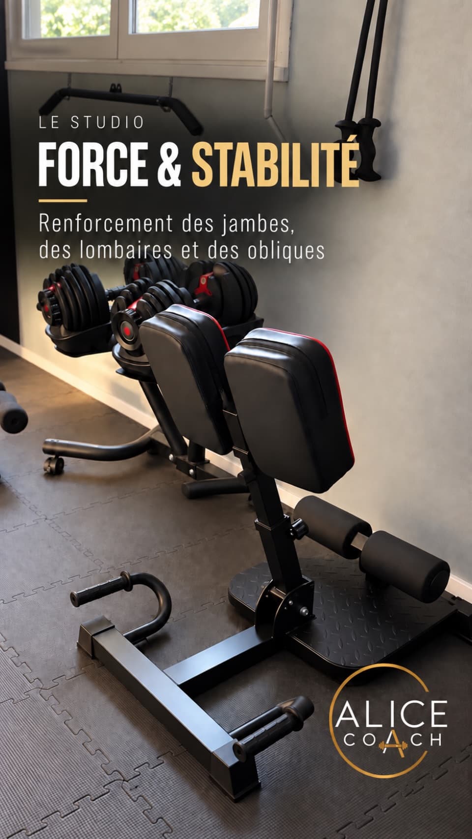 Force & stabilité : Renforcement des jambes, des lombaires et des obliques
